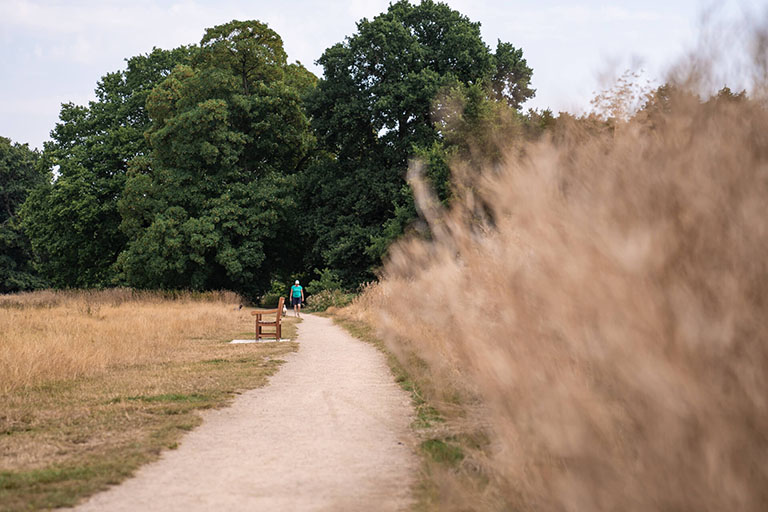 Exclusive Luxury Apartments in Darley Abbey Nutwood Court